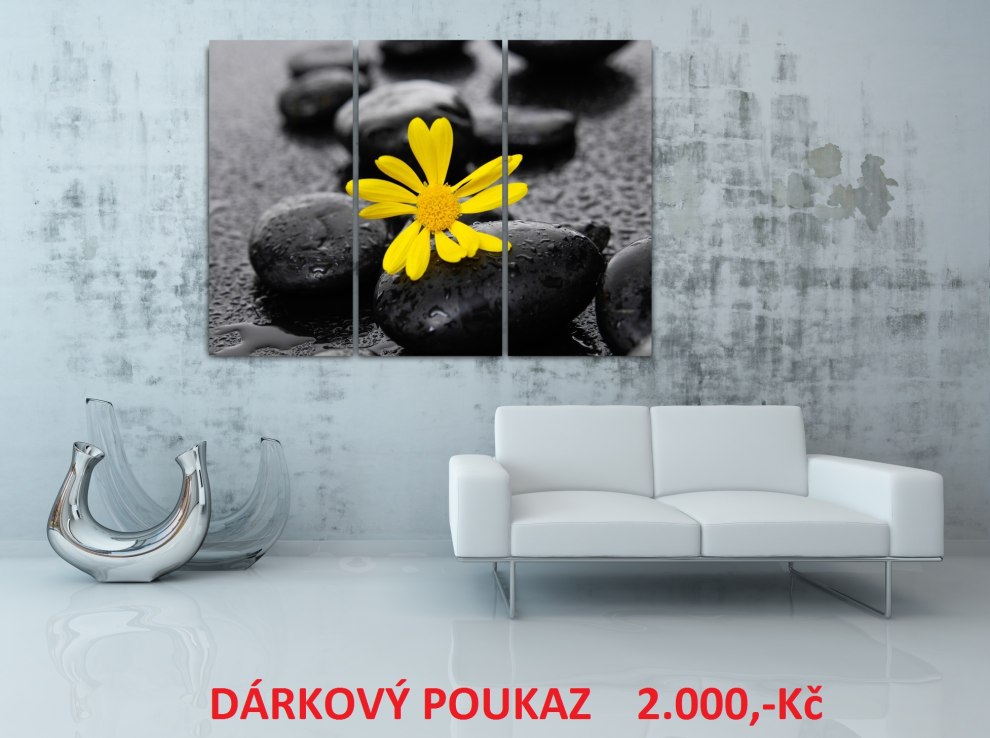 Dárkové poukazy